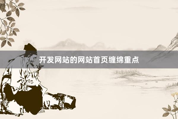 开发网站的网站首页缠绵重点